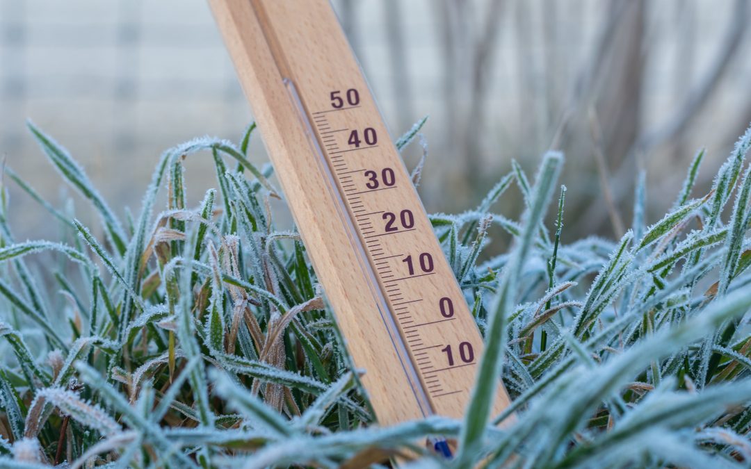 Ostrzeżenie meteorologiczne – przymrozki !!!
