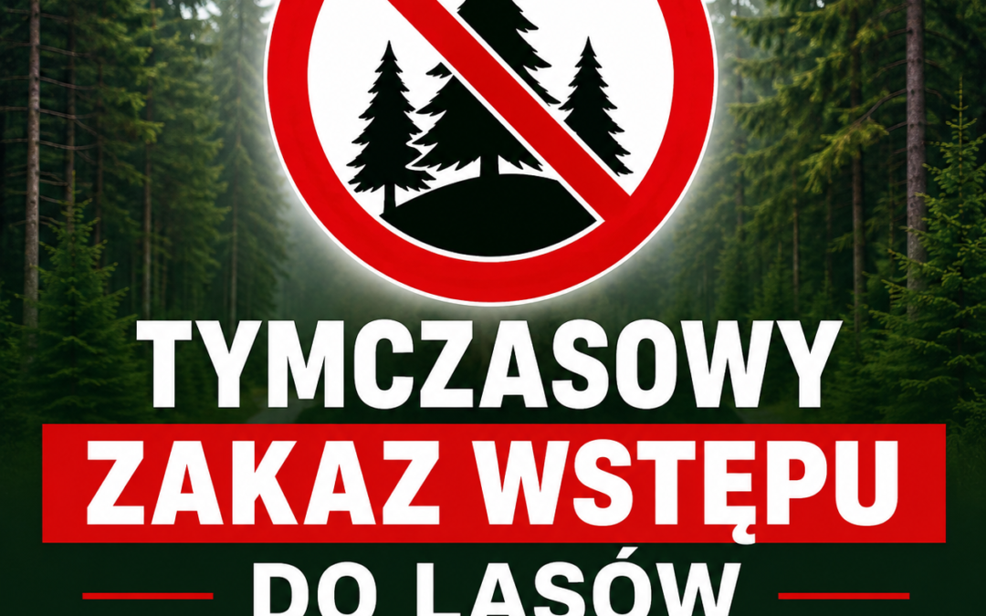 Okresowy zakaz wstępu do lasów
